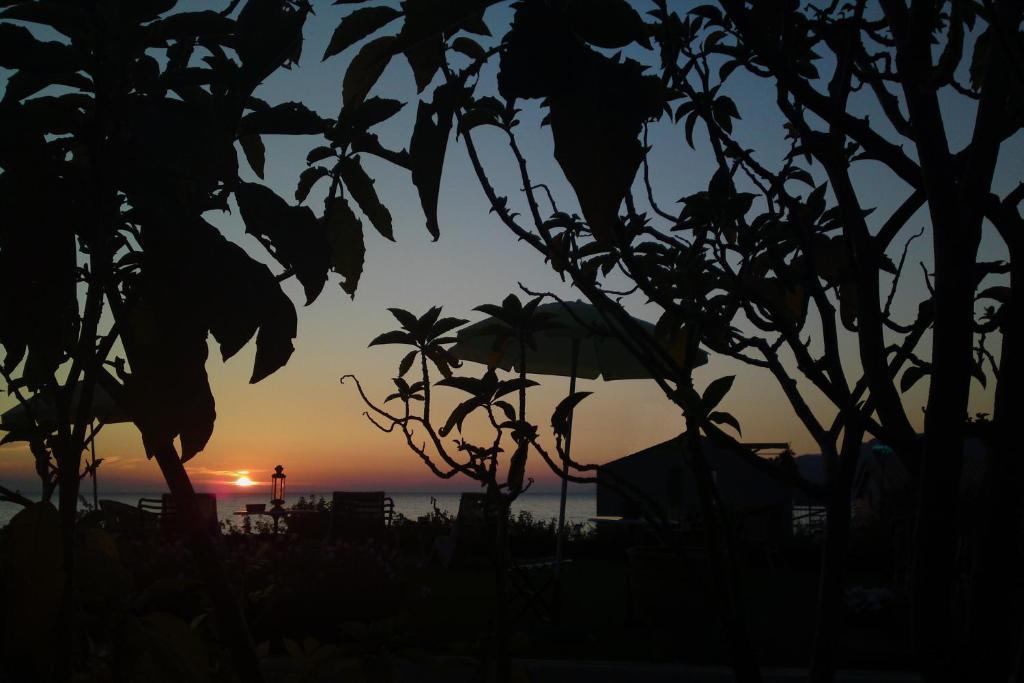 Palmina Mare Villa And Studios 파랄리아 브라초우 외부 사진