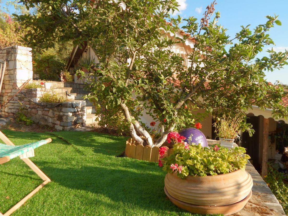 Palmina Mare Villa And Studios 파랄리아 브라초우 외부 사진
